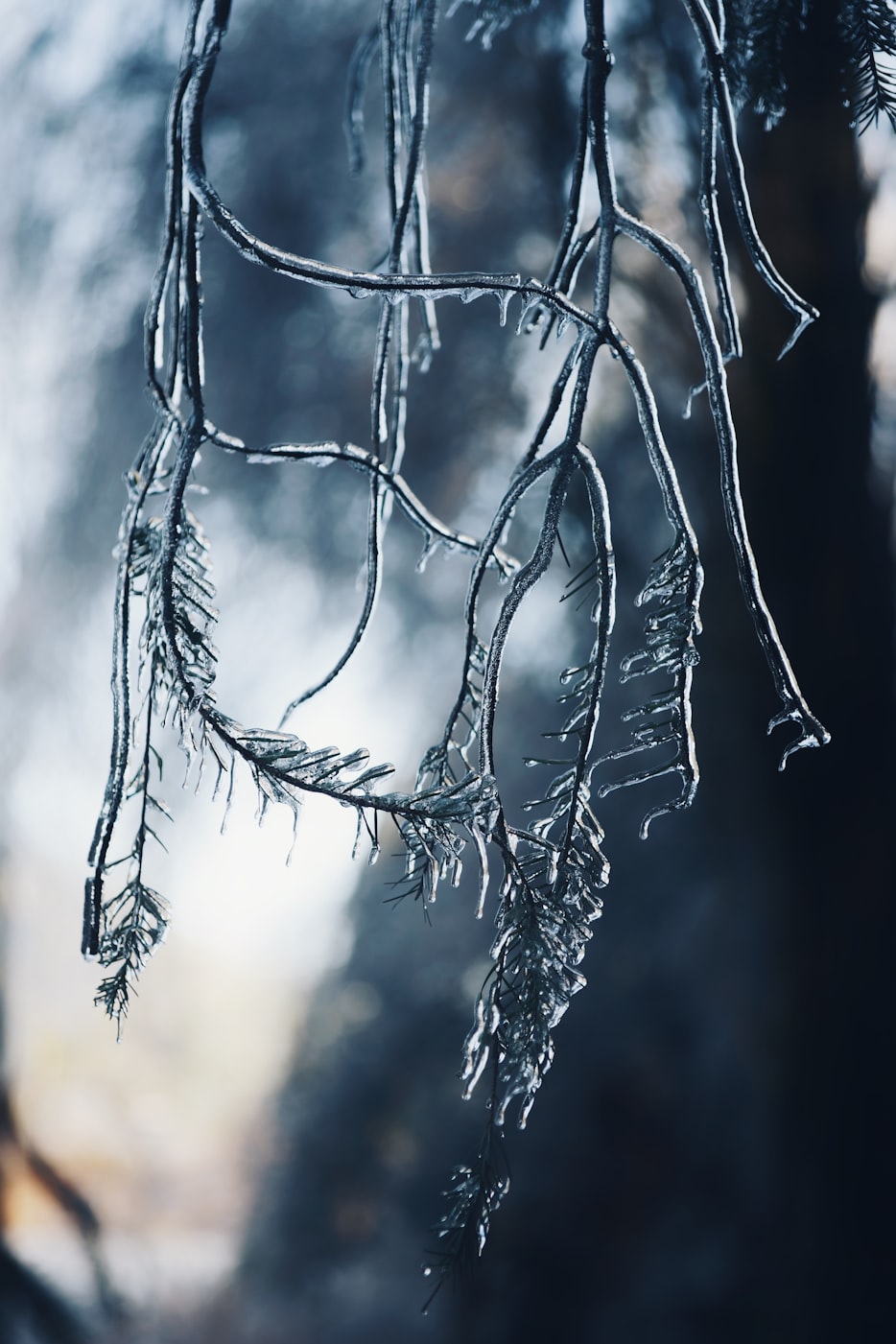 雪落365天,钓起四季诗,一个雪天钓鱼视频里的坚持与热爱 雪落365天,钓起四季诗,一个雪天钓鱼视频里的坚持与热爱