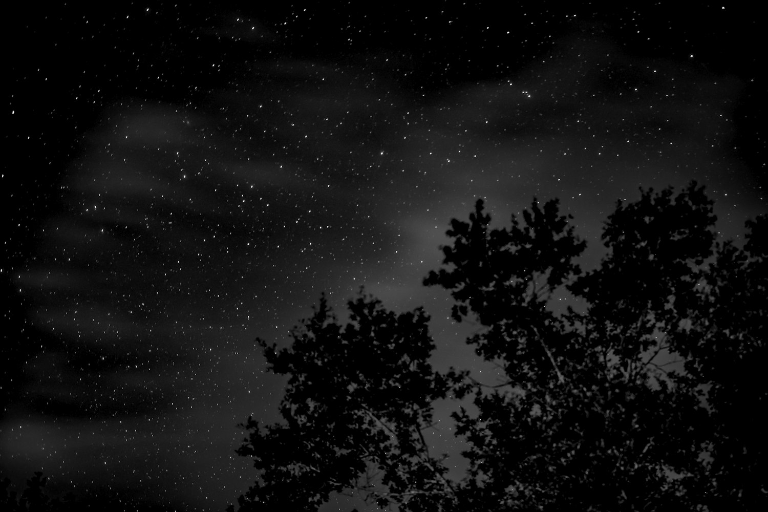 365个夜晚,藏在视频里的生活诗篇 365个夜晚,藏在视频里的生活诗篇