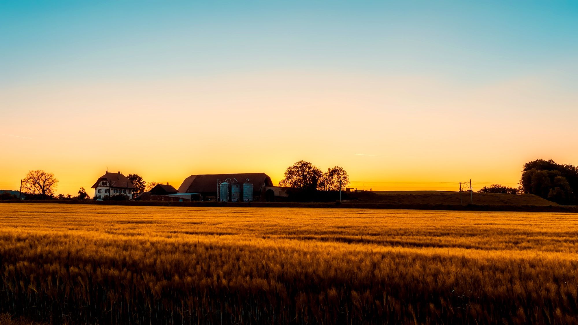 365帧乡土,每天都是生活的诗——农村短视频里的烟火人间 365帧乡土,每天都是生活的诗——农村短视频里的烟火人间