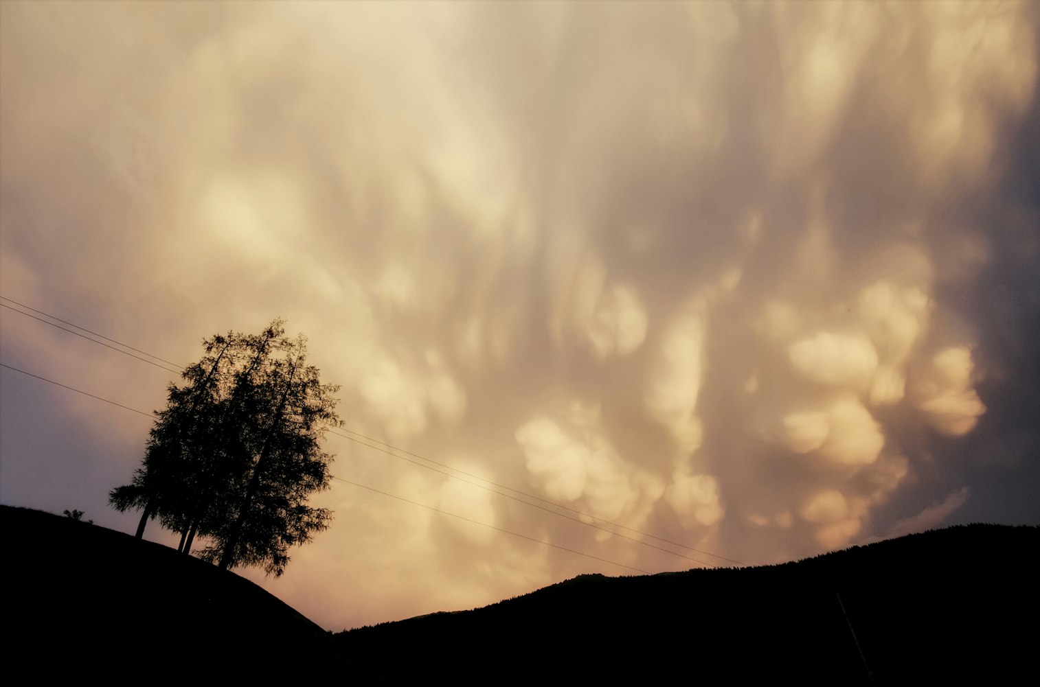 365天，一座山，一场与时间的修行——365爬大山视频里的坚持与风景